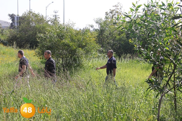 lagna omana2 sjeqw (4).JPG